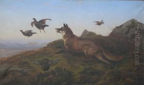 Disappointed - A Fox Putting Up Game In A Moorland Landscape Oil Painting by Charles Jones