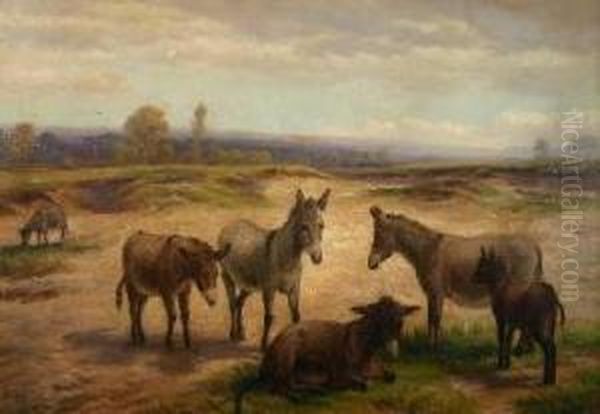 Six Donkeys In Dunes Oil Painting by Charles Jones