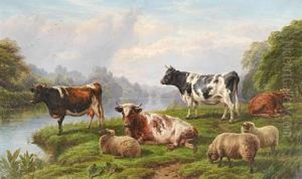 Cattle And Sheep By A River Oil Painting by Charles Jones