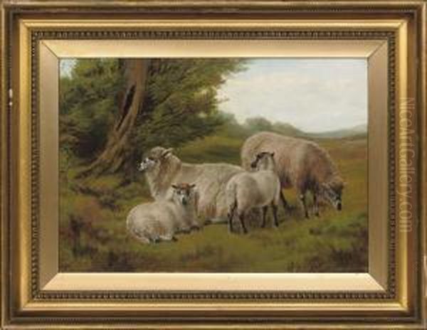 Ewes And Lambs Grazing In The Meadow by Charles Jones