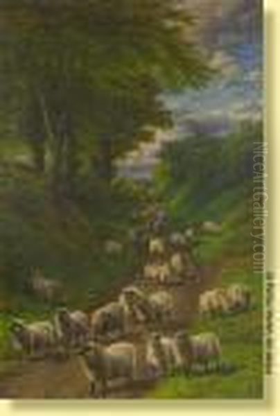 Troupeau De Moutons Oil Painting by Charles Jones