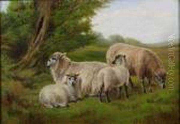 Sheep By Tree Oil Painting by Charles Jones