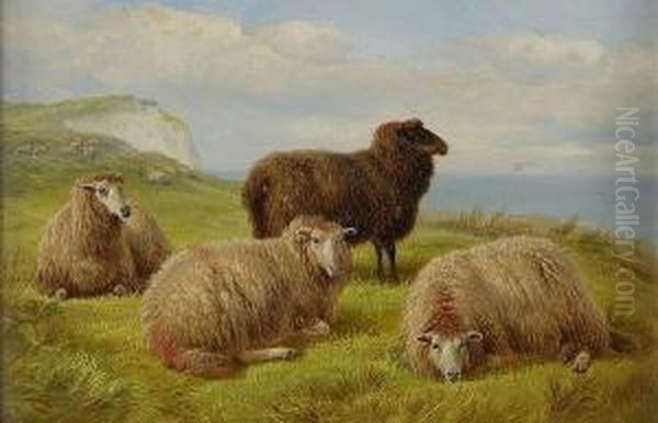 Sheep Resting On A Cliff Edge, With Monogram And Dated '72, Also Verso Oil Painting by Charles Jones