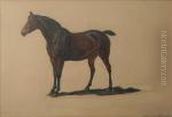 Study Of A Baygelding Oil Painting by Charles Jones