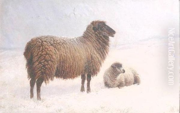 'sheep In A Winter's Landscape' Oil Painting by Charles Jones