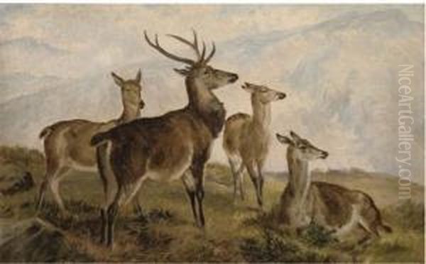 Deer In The Highlands Oil Painting by Charles Jones