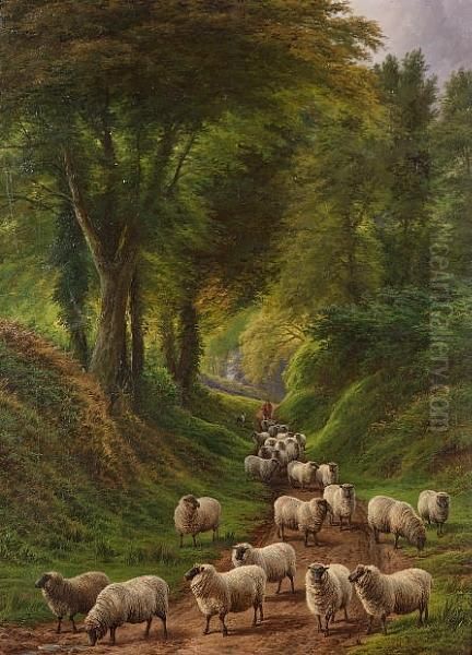 Sheep On A Country Path Oil Painting by Charles Jones