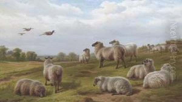 Sheep And Pheasant In A Landscape Oil Painting by Charles Jones