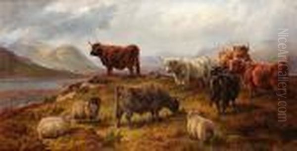 Highland Cattle And Sheep, Seen Near Loch Linnhie, Nb Oil Painting by Charles Jones