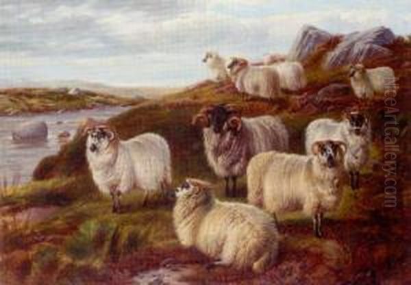 Sheep On Moorland Beside A River Oil Painting by Charles Jones