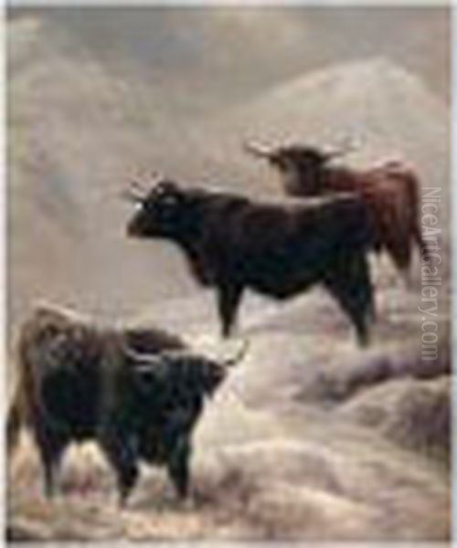 Highland Cattle On The Hills Oil Painting by Charles Jones