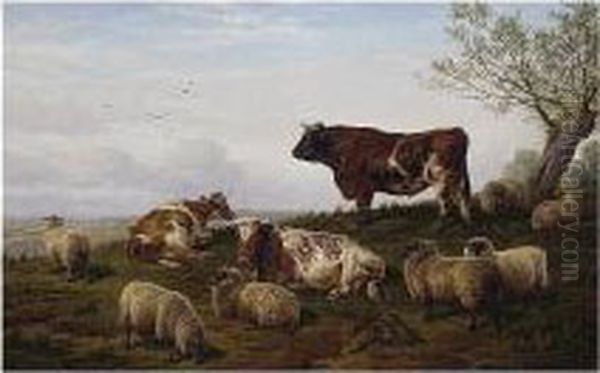 Cattle And Sheep Resting Oil Painting by Charles Jones