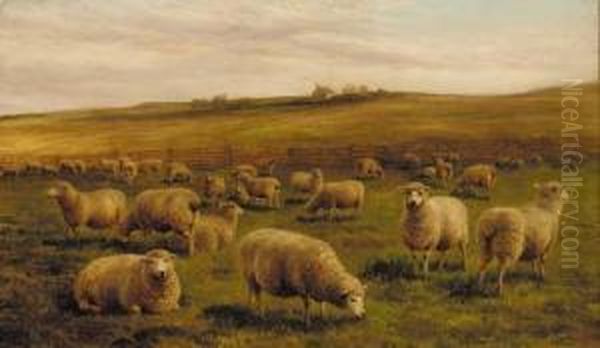 Sheep Grazing In A Coastal Landscape; And Sheep Grazing With A Cottage Beyond Oil Painting by Charles Jones