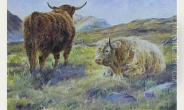 Moutons Highlanders Oil Painting by Charles Jones