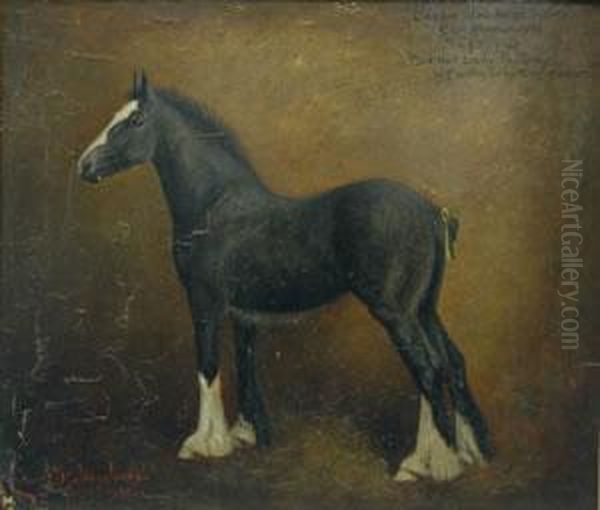 Creweshire Horse Society Cup Winner 1934 The Filly Foal Red Hall Lady Ingrey Oil Painting by Herbert Jones