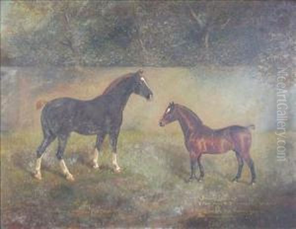 Portrait Of 'the King' And Of 'berkeley Bantam' Oil Painting by Herbert Jones