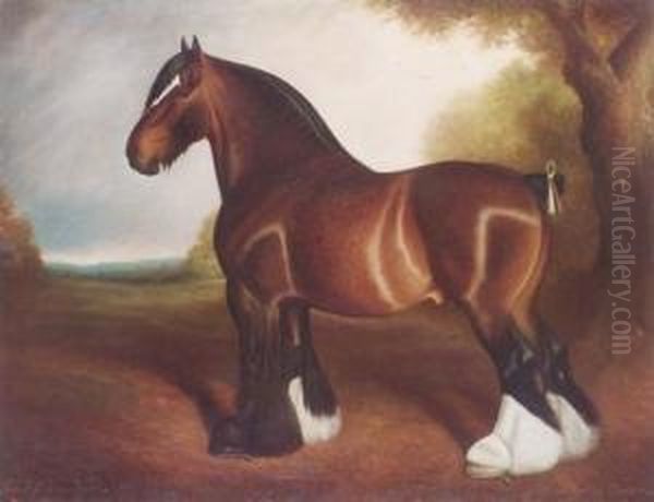 The Shire Stallion 'chorlton Clinker' Oil Painting by Herbert Jones