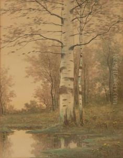 Forest Interior Landscape With Birch Trees Oil Painting by Hugh Bolton Jones