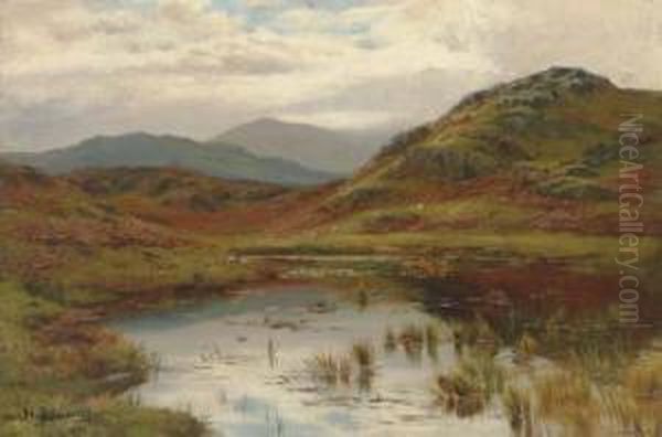 Sheep In The Valley Oil Painting by Hugh Bolton Jones