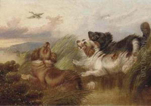 Spaniel Putting A Mallard Up Oil Painting by Paul Jones