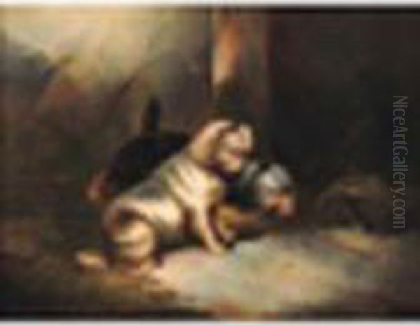 Terriers Ratting Oil Painting by Paul Jones