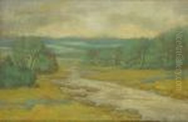 Marais Dans Un Paysage Oil Painting by Eugene Joors