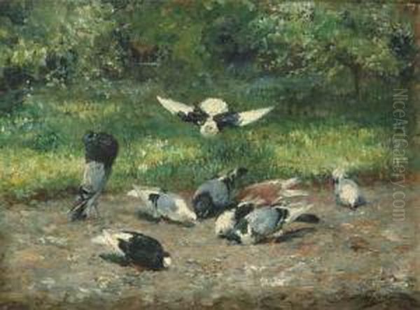 Pigeons Oil Painting by Eugene Joors