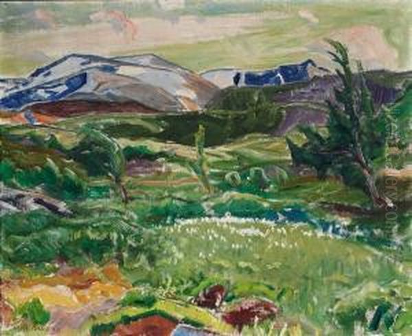 Fra Fjellet. Myrull 1919 Oil Painting by Lars Jorde