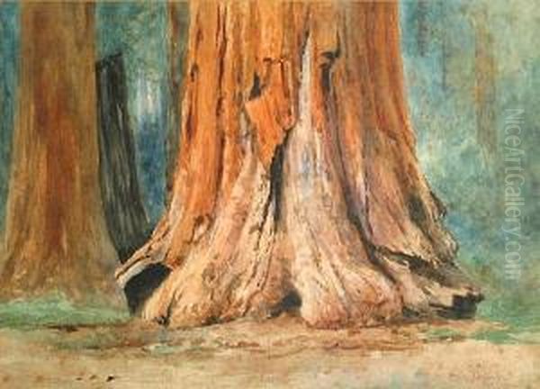 Redwoods Oil Painting by Christian A. Jorgensen