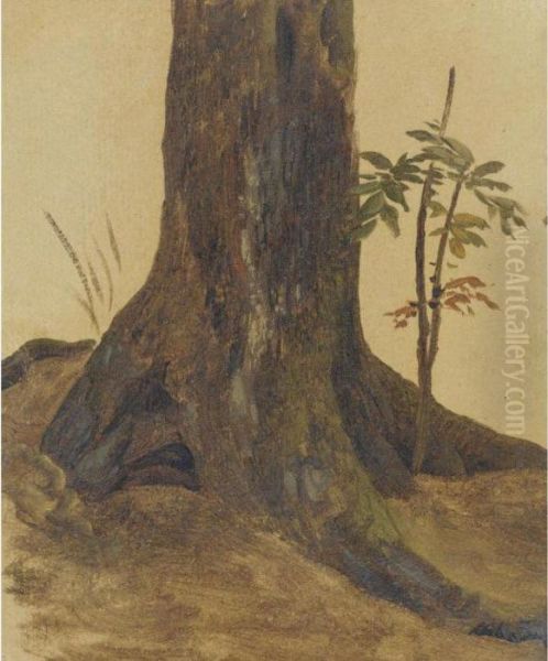 The Trunk Of A Live Oak Oil Painting by Simon-Joseph-Alexandre-Clement Denis