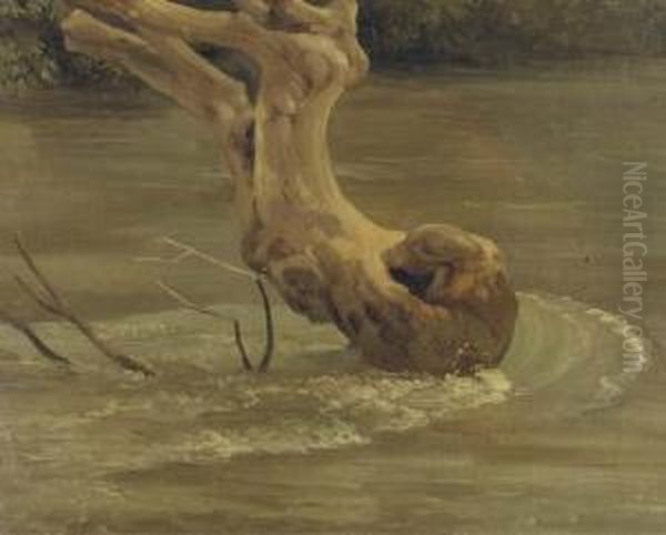 Des Remous Autour D'un Tronc D'arbre Dans Un Cour D'eau A Tivoli Oil Painting by Simon-Joseph-Alexandre-Clement Denis