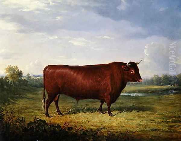 Portrait of a Brown Bull, 1834 Oil Painting by Henry Calvert