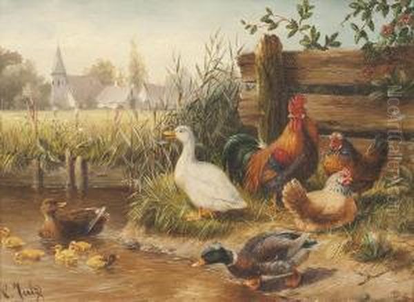 Hahn Mit Hennen Und Enten Oil Painting by Carl Jutz