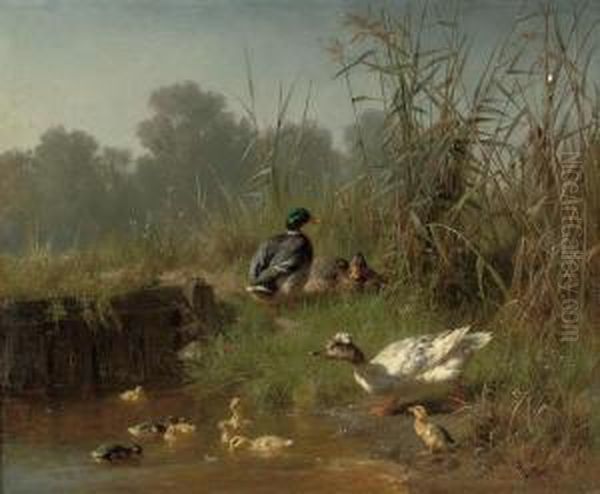 Ducks And Ducklings In A Pond Oil Painting by Carl Jutz