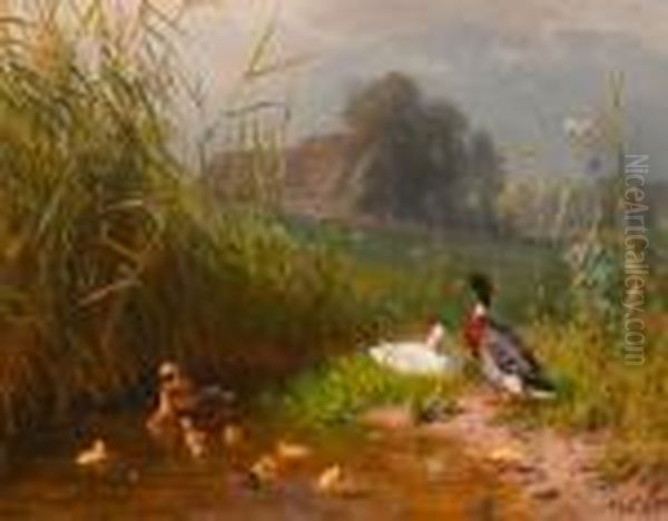 Family Of Ducks At A Stream. Oil Painting by Carl Jutz