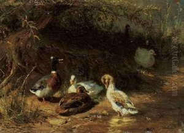 Enten Unter Buschen. Oil Painting by Carl Jutz