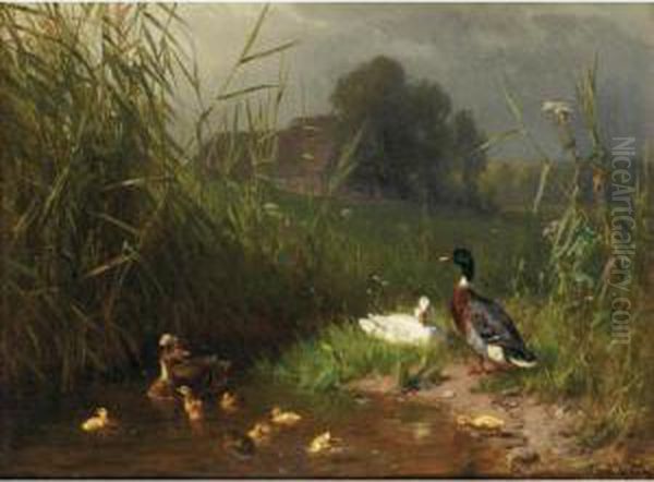 Family Of Ducks Oil Painting by Carl Jutz