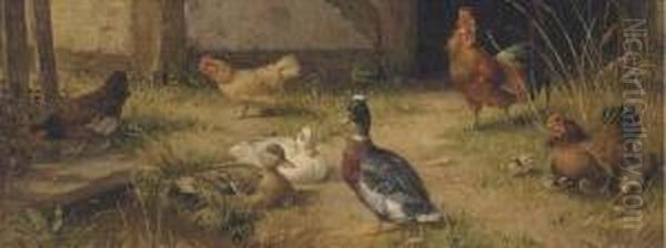 Poultry In The Farmyard Oil Painting by Carl Jutz