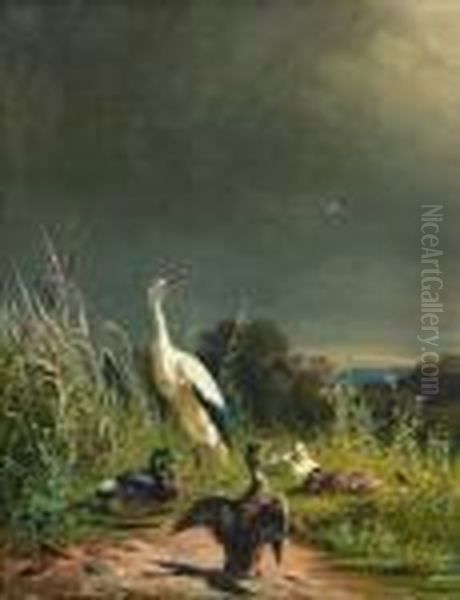 Storch Und Enten Oil Painting by Carl Jutz