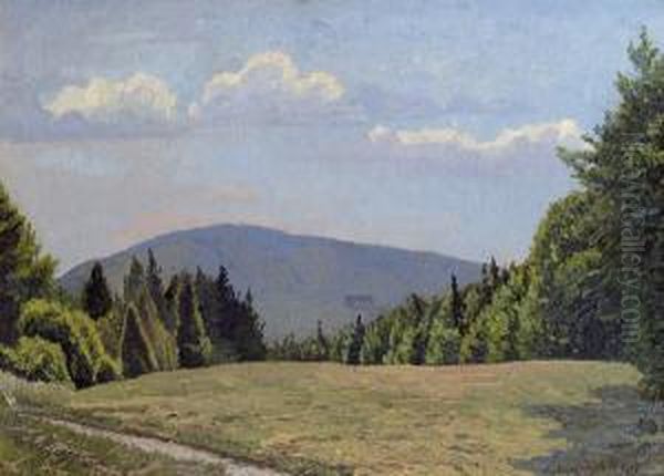 Sommerlandschaft Bei Klosterneuburg Oil Painting by Max Kahrer