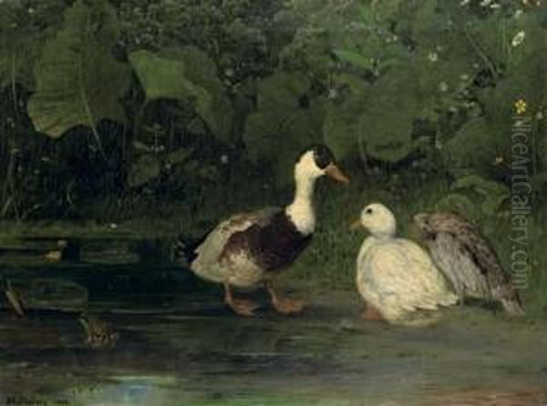 Three Ducks On A Pond Oil Painting by Anders Kallenberg