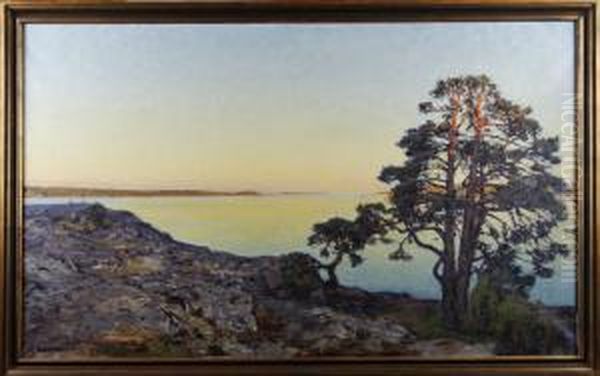 Skargardslandskap Med Solbelysta Tallar Oil Painting by Gottfrid Kallstenius