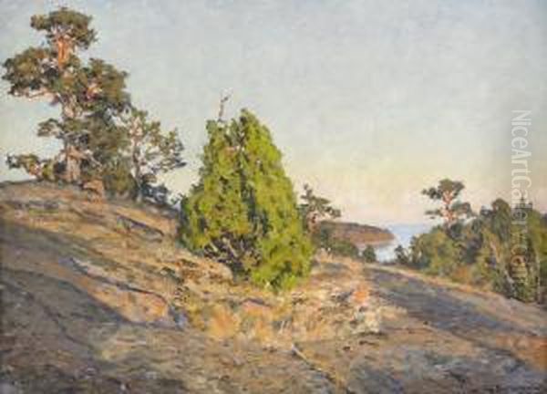 Skargardslandskap Med Solbelysta Tallar Oil Painting by Gottfrid Kallstenius