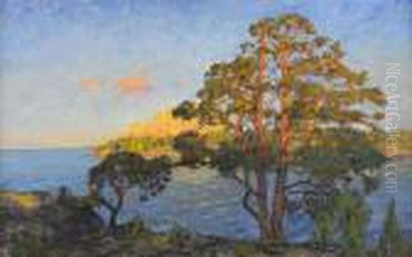 Solbelysta Tallar I Skargardslandskap Oil Painting by Gottfrid Kallstenius