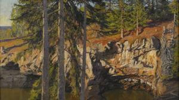 Nyberget - Sommarlandskap Med Granar Oil Painting by Gottfrid Kallstenius