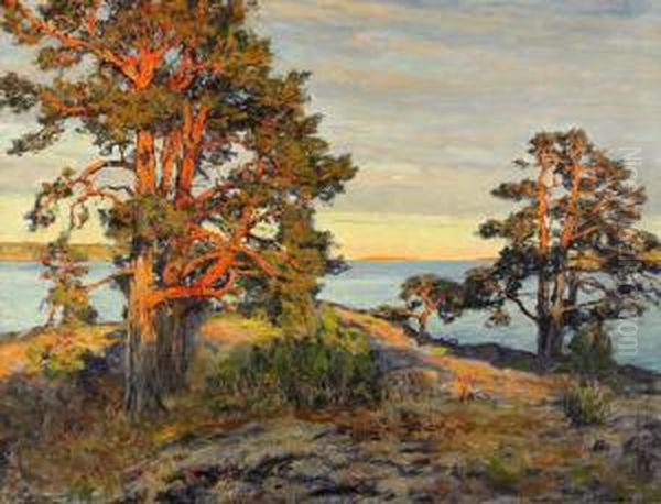 Solbelysta Tallar I Tjust Skargard Oil Painting by Gottfrid Kallstenius