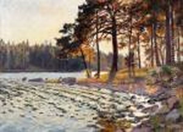 Skargardsvik I Kvallssol Oil Painting by Gottfrid Kallstenius