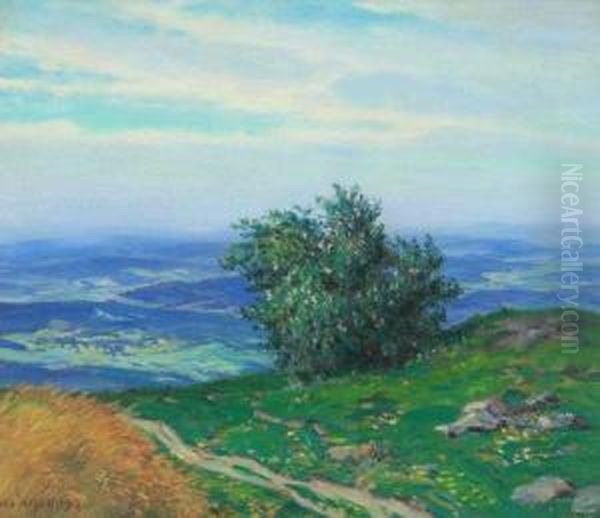 A Landscape With A Blossoming Shrub Oil Painting by Alois Kalvoda