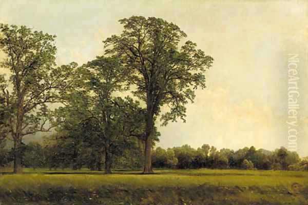 The Spring Field Oil Painting by John William Casilear