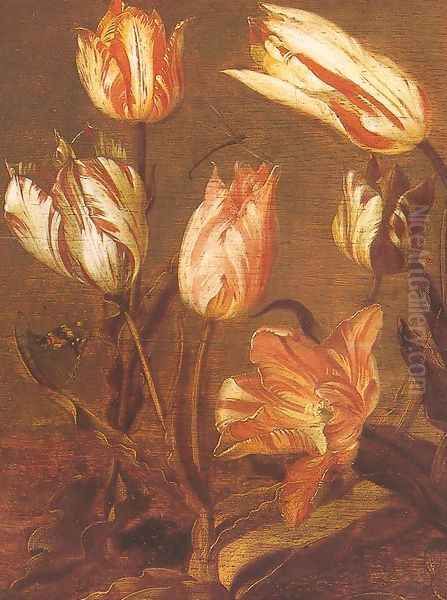 Tulip Field (detail) 1638 Oil Painting by Jacob Gerritsz. Cuyp